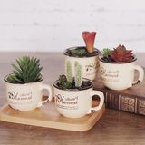 创意复古仿真可爱多肉植物小盆栽口杯系列家居装饰摆件办公室桌面