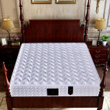 香港海马正品床垫棕垫双人席梦思乳胶床垫1.5m/1.8米弹簧床垫
