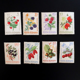 1964年罗马尼亚 草莓果实花卉花朵植物 外国邮票 8全
