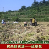 农家自产新鲜散装纯天然大米新米粳米500g无抛光宝宝米粉原料