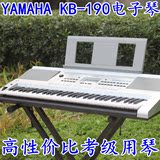 雅马哈电子琴儿童成人61键KB-190力度键考级教学KB-290精简版