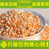 非转基因!有机小玉米粒 玉米干玉米美国爆米花专用米花机原料250g