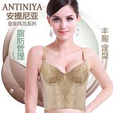 正品安提尼亚ANTINIYA长文胸脂肪管理器皇室风范美胸定型美体内衣