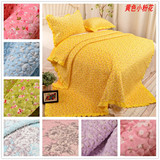 韩国新款纯棉两用超柔无静电短毛绒绗缝床垫床单三件套枕套毛毯