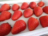 新鲜百宝源奶油草莓3盒装顺丰包邮当季水果送礼首选冬季养生