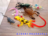6款超大号仿真爬行动物模型老鼠蜘蛛乌龟蜥蜴蛇吓人道具儿童玩具