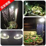 灯泡 室内植物补光灯照明 多肉植物补光灯昊林全光谱LED植物生长