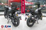 台湾三阳机车赛道踏板摩托跑车【T1豪华】