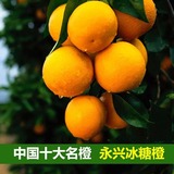 正宗十大名橙永兴冰糖橙产地直供 不秒杀褚橙。