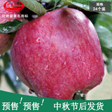 先秦贡果 礼县苹果老花牛苹果 香甜新鲜水果苹果10斤24个包邮