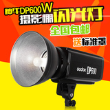 神牛DP600W影室闪光灯专业人像摄影灯光器材柔光灯家居服装摄影棚