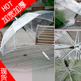 透明雨伞 长柄伞 加厚舞蹈伞 纯色伞创意自动男女情侣雨伞广告伞