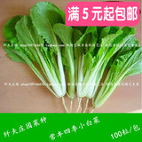 5元包邮 阳台蔬菜种子 常丰四季小白菜种子 庭院种菜种四季播