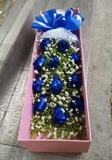 广西南宁桂林北海鲜花店11支蓝玫瑰蓝妖长方形礼盒同城速递促销