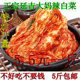 正宗韩国延吉朝鲜族腌制泡菜辣白菜批发吃冷面必不可少的配菜包邮
