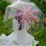 日系甜美浪漫樱花透明伞加大牢固纤维骨长柄雨伞阿波罗公主伞拱形