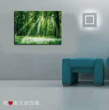 绿树林风景装饰画客厅卧室床头挂画沙发背景水晶无框画单幅田园风