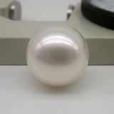 澳洲南洋白色珍珠15-16mm裸珠天然海水珍珠吊坠戒指 正圆 强光