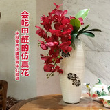 和家仿真花蝴蝶兰套装假花陶瓷花瓶创意花艺装饰摆件礼品净化空气