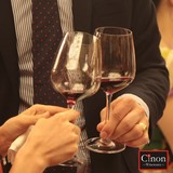 Cinon正品无铅水晶Grand Cru葡萄酒杯红酒杯法国列级酒会用 刻字