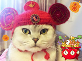 手工编织宠物猫咪变装帽子财神帽招财进宝毛线造型帽子过年必备