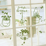 我家的小盆栽可移除墙贴纸 墙纸贴墙贴画贴花 窗子玻璃阳台贴纸