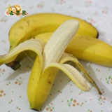 云南新鲜水果 河口香蕉 5斤/2.5kg 昆明同城水果配送