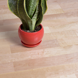 桦木出口三层实木复合地板 表皮4mm地暖地热出口澳洲三拼宽板