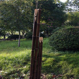竹立柱 装饰竹竿 竹子 l篱笆 竹竿/紫竹杆大型篱笆/栅栏海景园