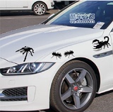 3D立体车贴 蜘蛛 蚂蚁 蝎子汽车个性车身装饰贴花 遮挡刮痕划痕贴