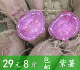 广西特产新鲜生紫薯红薯紫番薯新鲜紫地瓜紫心紫薯8斤装