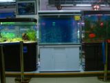 佳宝鱼缸高缸系列1米1.2米1.5米1.8米 双泵过滤 生态鱼缸水族箱