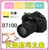 尼康 D7100单反相机  D4S D3X D810 D800E D7200 D750 D610 D7100