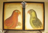 可立特木制鹦鹉图案壁挂/装饰印刷油画/美式乡村挂画/动物图案