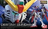 日本万代正品 RG 11 Destiny Gundam 命运 高达模型 带光翼