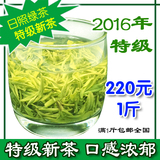 日照绿茶 2016年新茶 明前特级，22元/50克 自产自销春茶一斤包邮
