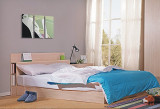 超特价环保双人床单人床高箱床低箱床席梦思床 1.2米1.5米1.8米床