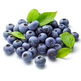 现货 新鲜蓝莓智利进口蓝莓4盒包邮