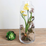 大玻璃花瓶 欧式台面摆件 透明微景观装饰瓶 落地花瓶摆设 特价