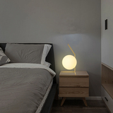 北欧现代简约节能台灯美式创意个性卧室床头台灯可爱圆球护眼台灯