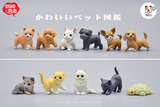 日本正品正版散货！玩具公仔扭蛋 仿真动物模型 可爱宠物狗猫龟