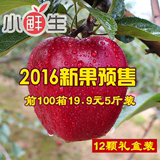 【小鲜生】水果 苹果新鲜蛇果预售礼县花牛苹果5斤包邮红苹果批发
