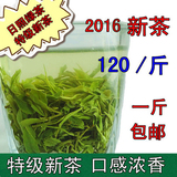 【天天特价】日照绿茶 2016新茶 自产自销 雪青 特价 包邮 500g