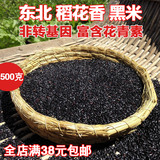 东北特产黑米500g 黑糯米 农家自产黑香米五常粗粮五谷杂粮粥原料