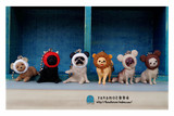 Bandai万代日本正版散货吉娃娃/巴哥/松鼠狗可爱小狗摆件挂件6款
