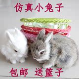 包邮 仿真兔子动物模型 儿童毛绒玩具兔子一套酒店装饰 摄影道具