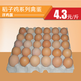 稻子鸡系列洋鸡蛋批发喜蛋诞生礼散装上海商超热销专供销售创意