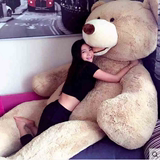 美国大熊超大号毛绒玩具泰迪熊布娃娃熊猫公仔女生抱抱熊1.6米2.4