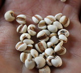 云南版纳农家薏仁米500g优质大薏米仁杂粮4斤包邮 有熟红豆薏米粉