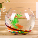 包邮透明紫刻线鱼缸水族箱玻璃圆形鱼缸水培植物容器桌面鱼缸摆件